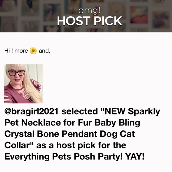 Sparkly Pet Necklace for Fur Baby - Picture 2 of 8